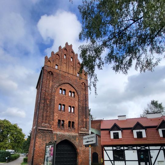 Dworek -- Dyrekcja Muzeum, Biblioteka