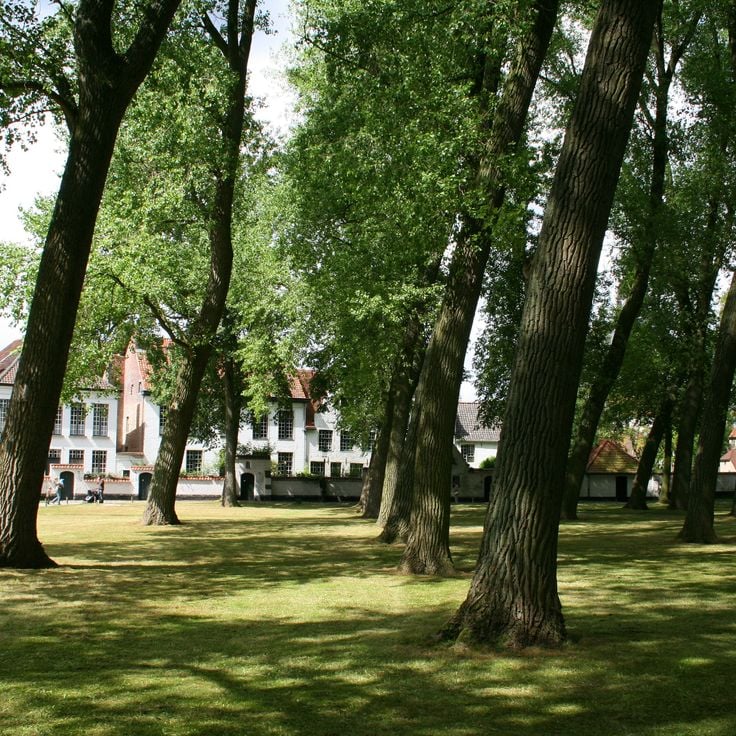 Princely Beguinage Ten Wijngaarde