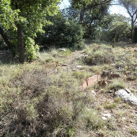 Serrat del Prat d'Ori