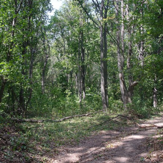 Makiivske Horodishche