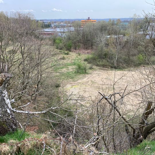 NSG Steinbruchgelaende Hohenhagen