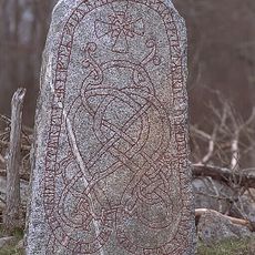 Upplands runinskrifter 1041