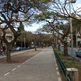 Rothschild Boulevard
