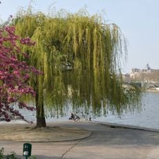 Jardin Tino-Rossi