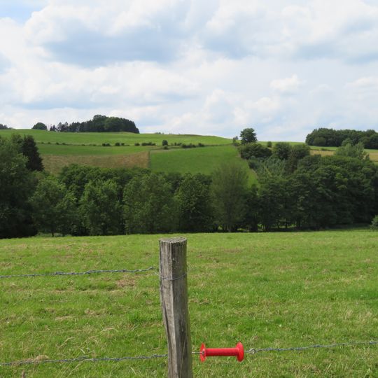 LSG-Kultur- und Offenlandschaftskomplex Bruchhausen <Typ B>