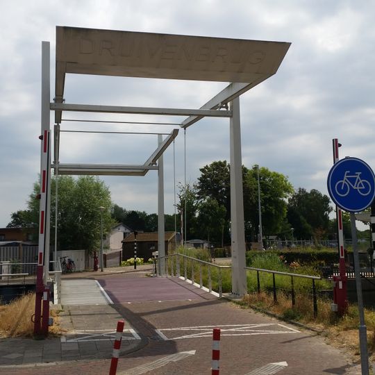 Druivenbrug