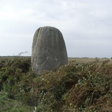 Pierre levée de la Bretaudière