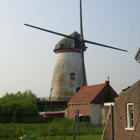 De Korenbloem
