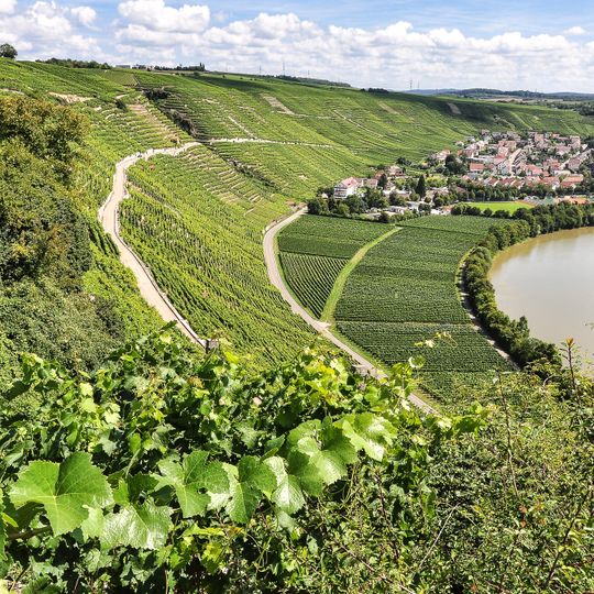 Gebiete nördlich des Neckars bei Mundelsheim, Hessigheim, Besigheim und Gemmrigheim: Käsberg, Felsengärten, Wurmberg, Gündelstein, Kelterschen und Umgebung