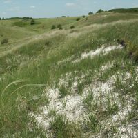 Goršečenskij rajon