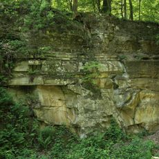 Laubwälder um Würzburg
