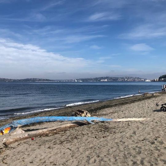 Alki Beach