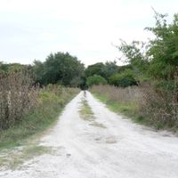 partido di Magdalena