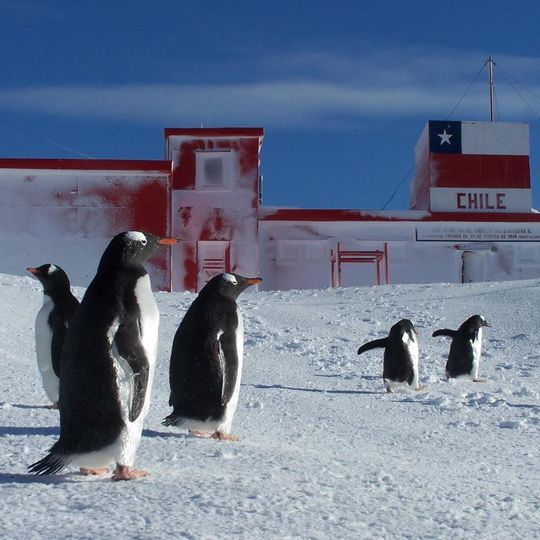 Base militar antártica Capitán General Bernardo O'Higgins Riquelme