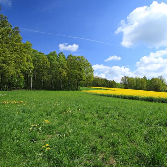 Pfaffenberg - Oberwald