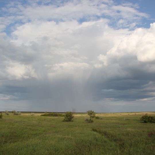 Llanura europea oriental