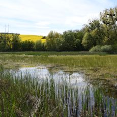 Horní Mouřínovský rybník