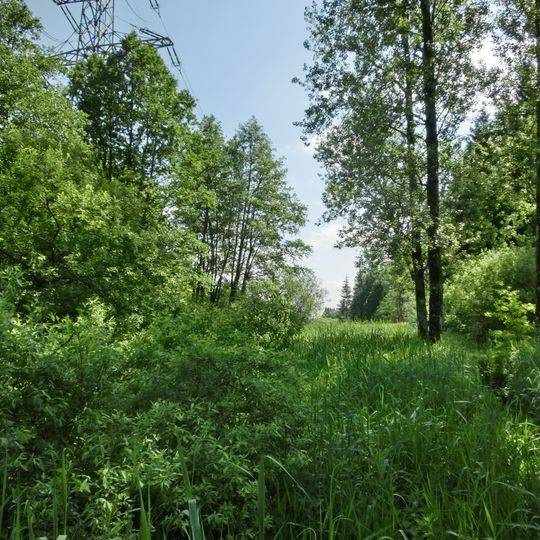 Riede und Gewässer bei Mengen und Pfullendorf