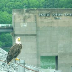Bald Eagle State Park
