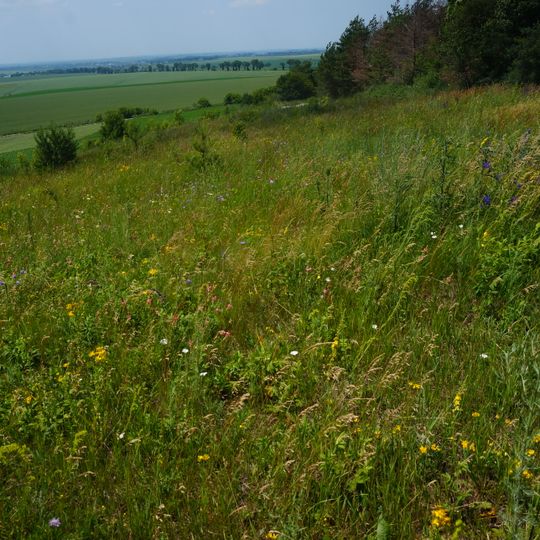 Skalatska Stepova Dilianka