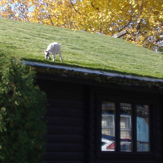 Al Johnson's Swedish Restaurant
