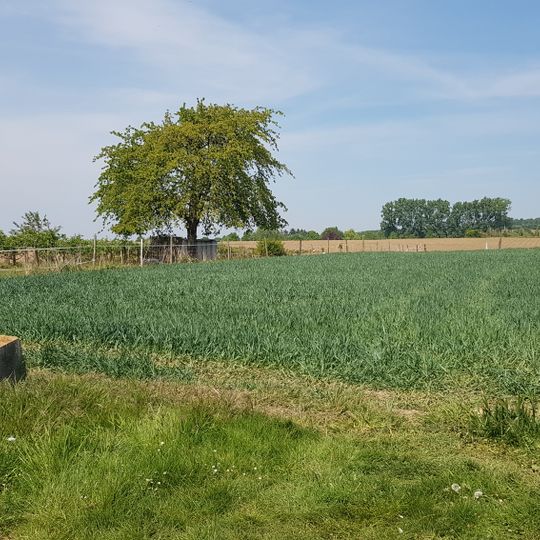 Belgium-Netherlands boundary stone no. 35b