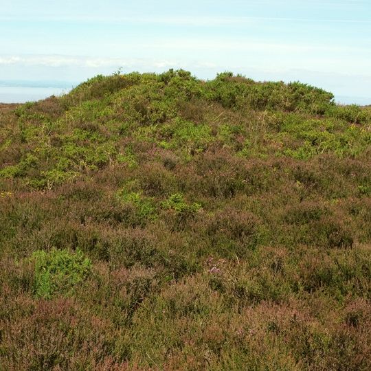 Bowl barrow on Longstone Hill, 270m north east of Bicknoller Post