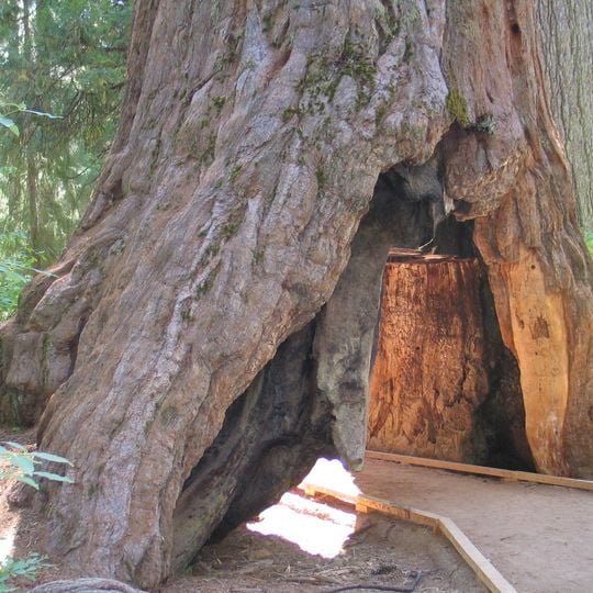 Capanna del pioniere