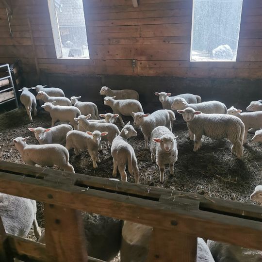 La ferme du Grand Veymont