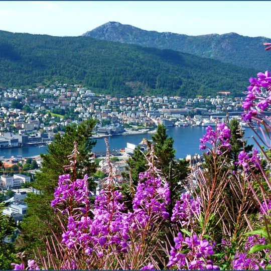 Bergens fjellstrekninger