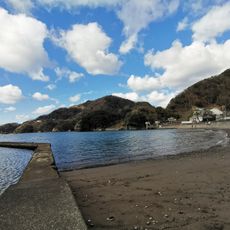 Otago Coastline