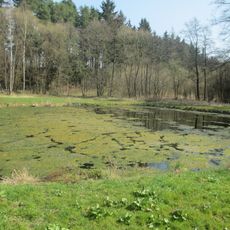 Koupaliště u Bohuslavic