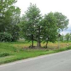 Kříž západně od Vlastiboře