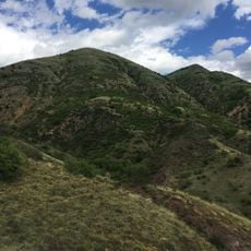 Корија (Богословец)