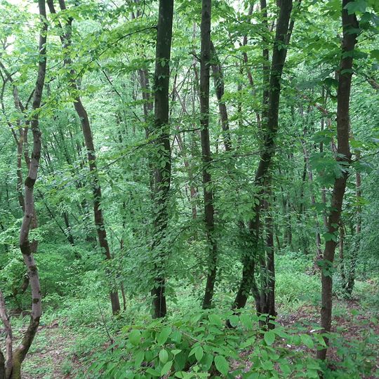 Скелі семи джерел