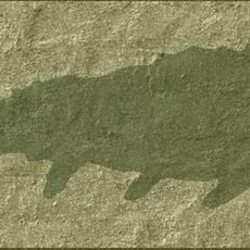 Murero paleontological sites