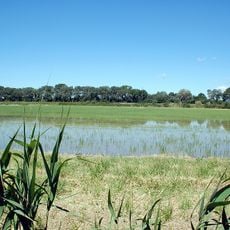 Camargue Regional Natural Park