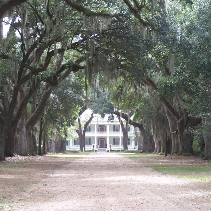 Rosedown Plantation
