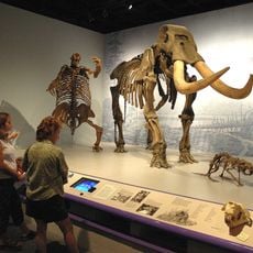 Illinois State Museum