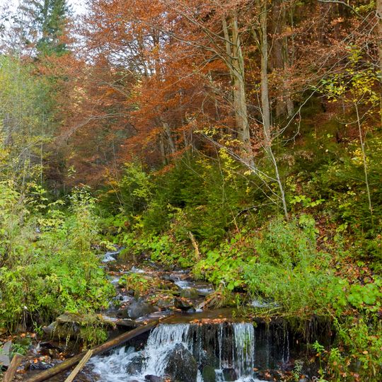 Omnozhanskyii Reserve