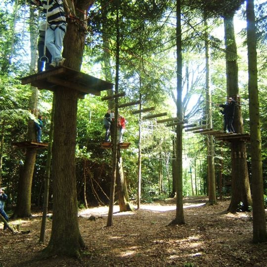 Forest Adventure