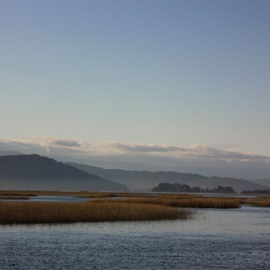 Santuario de la Naturaleza Río Cruces y Chorocamayo
