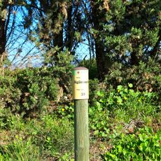 Partida d'Aigüesverds