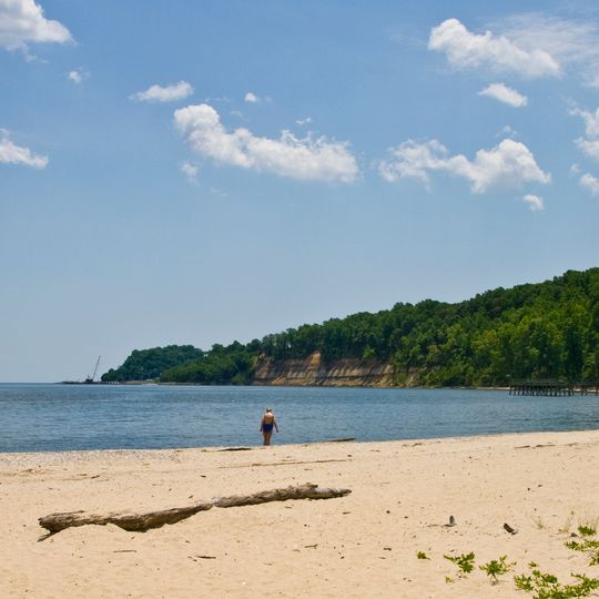 Flag Ponds Nature Park