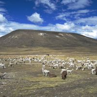 Distretto di Santa Lucía