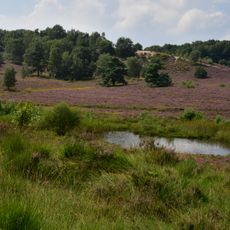 Brunssummerheide