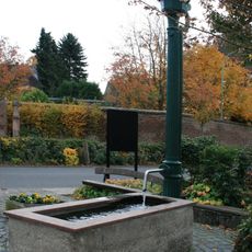 Wasserpumpe Pingsheim