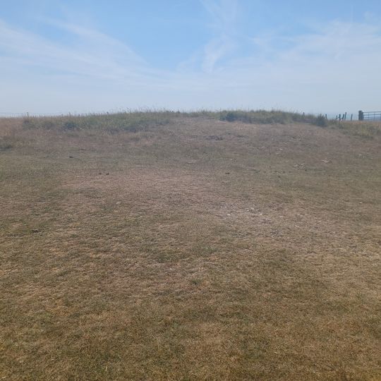 Bowl barrow 290m west of Firle Beacon
