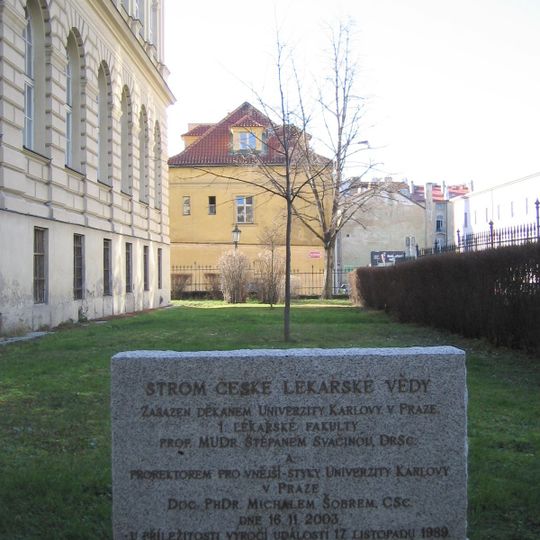 Lindeboom voor de Tsjechische medische wetenschap te Praag