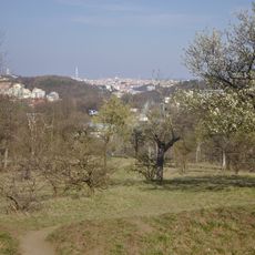 Orchards above Calvary